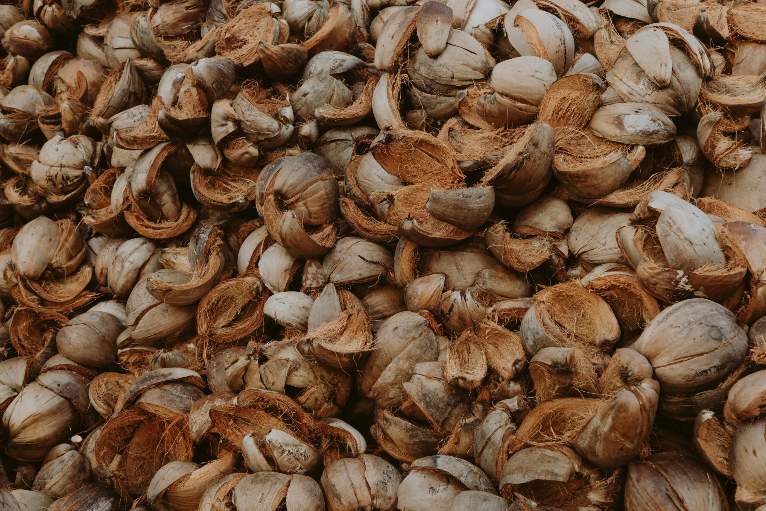 Agricultural Residue Conversion to Bioproducts and Energy